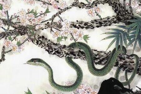 4头顺打一生肖数字