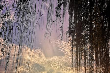 暮霭之年的意思是什么