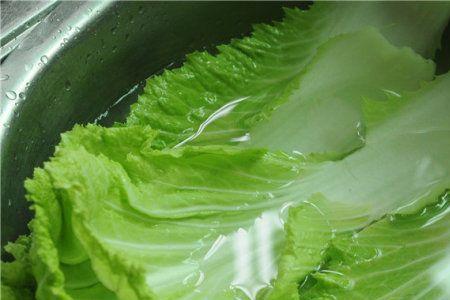 什么白菜品种叶多帮少