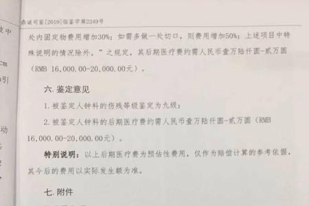 司法鉴定意见书下达后算立案吗