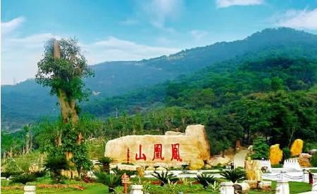 凤凰山为什么叫凤凰山