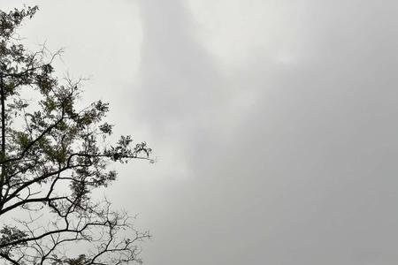 山下边一个峰去掉山是什么字