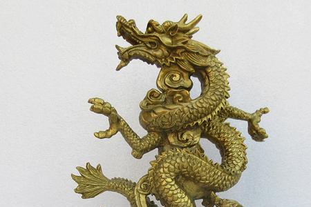 飞龙在天打个生肖