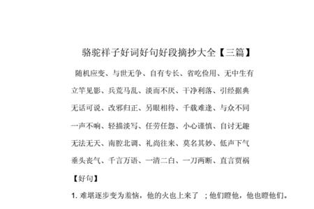骆驼祥子里的四字好词