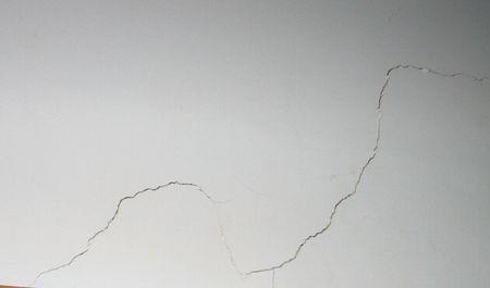 楼房墙体裂缝有蚂蚁出入怎么办