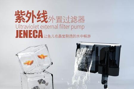 带除油膜的鱼缸过滤器吸小鱼吗