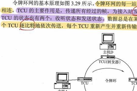 星型网络采用哪种协议