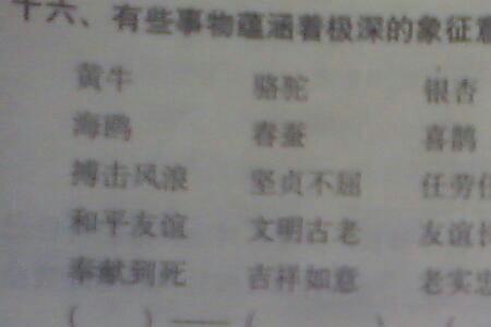 自残反义词是什么词
