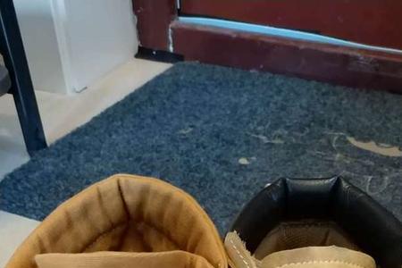 cat工装鞋边开胶正常吗