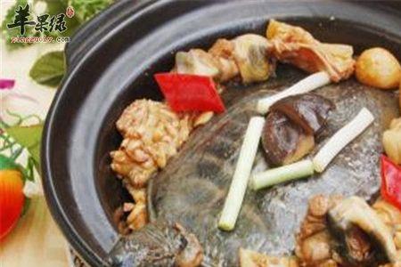 甲鱼放冰箱能活多久