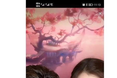 虞书欣王鹤棣综艺节目有多少个