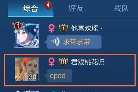 什么是游戏伴侣