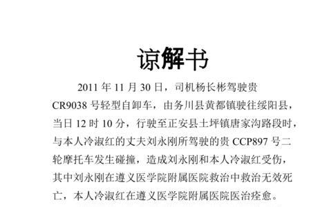 醉驾谅解书怎么写才有效