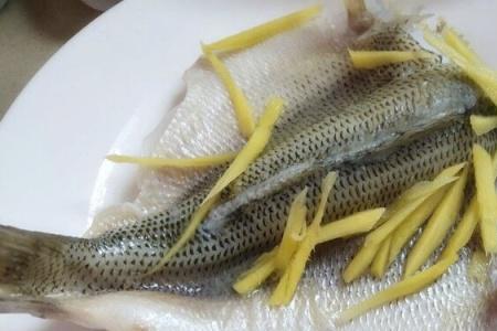 渤海湾鲈鱼的特点