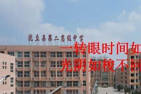 沈丘一高在全省排几名