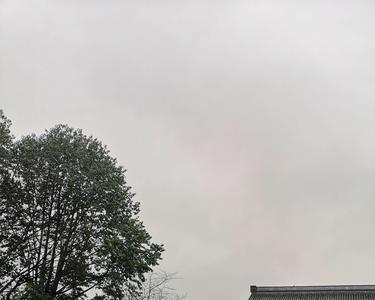 蒙蒙烟雨意思
