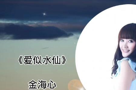 盛开的水仙金海心原唱