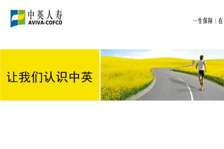 中英人寿正式营业时间