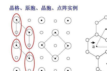 二维网结构是什么结构