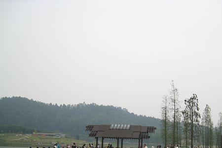 大夫山今天开放吗