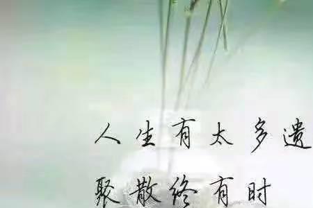 人生至痛莫过于什么意思