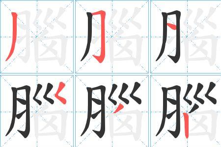 脑的繁体字怎么写
