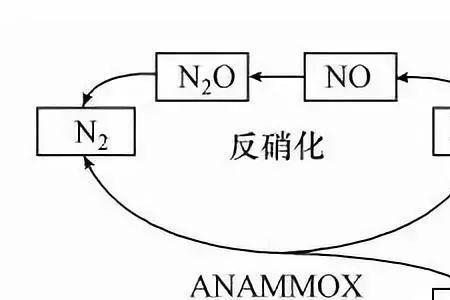 硝化反硝化反应式