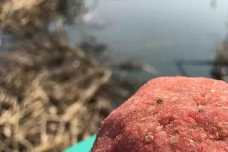 鱼饵没了怎么补救