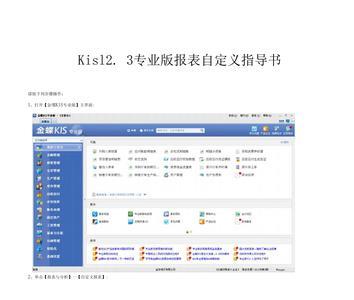 金蝶kis专业版报表科目代码错误
