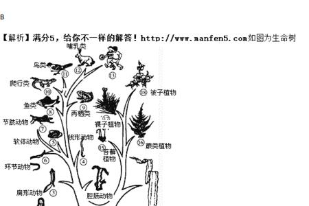 写出以上植物类群的进化历程