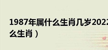 今年51岁属什么生肖2022