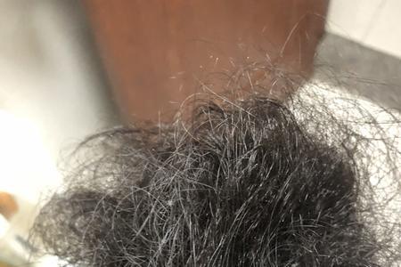 苛薇莱娅洗发水怎么样