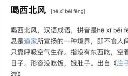 形容人脑回路奇葩的成语