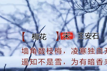 遥知不是雪中的遥什么意思
