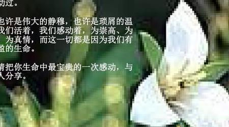 感激与感动区别