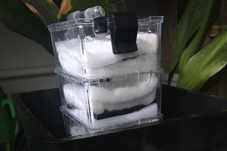 鱼缸困水没太阳可以吗