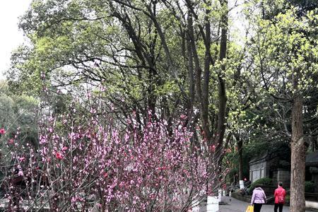 歌林公园开放了吗