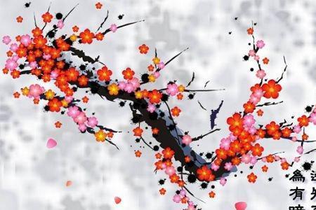 王石欣赏梅花的诗句