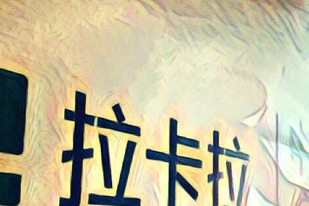 沙卡拉卡什么意思