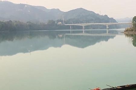 纯粹真实的意思