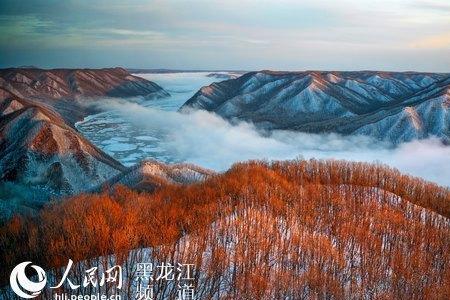 大兴安岭和鹤岗哪里适合定居