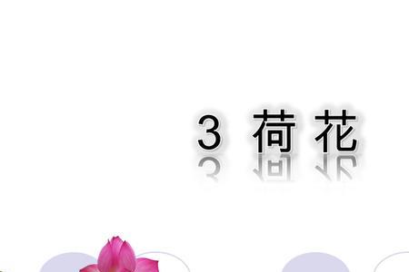 课文描写了荷花的哪三种姿态