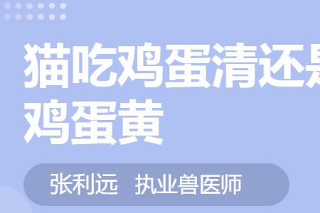 猫咪可以吃茶叶蛋的蛋黄吗