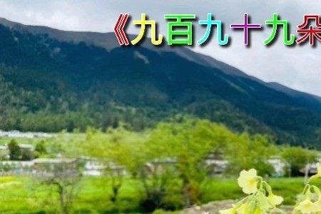 九百九十朵玫瑰粤语叫什么