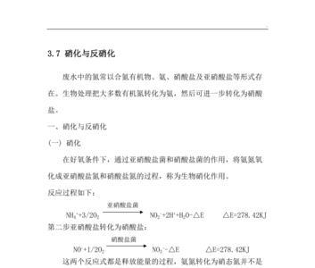 反硝化反应阶段