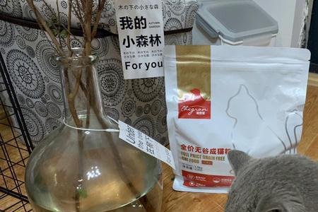 话说猫粮多久换一次比较