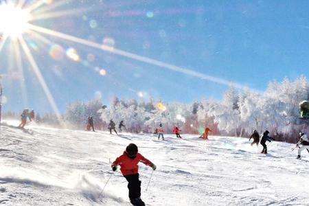 万龙八易滑雪场2023年还能开吗