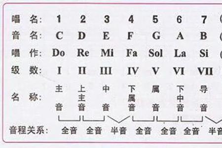 下主音和导音的区别