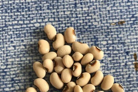 椭圆黄色的豆子叫什么