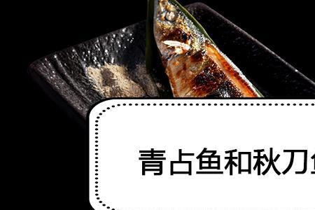 鲐鱼和秋刀鱼的区别